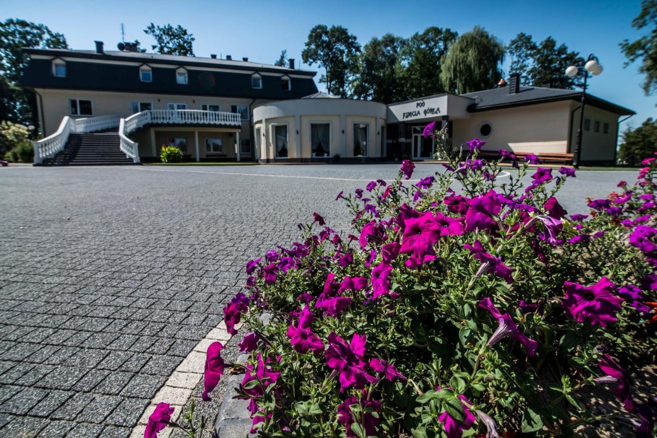 Hotel Pod Ksiecia Gorka à Oleszyce Extérieur photo